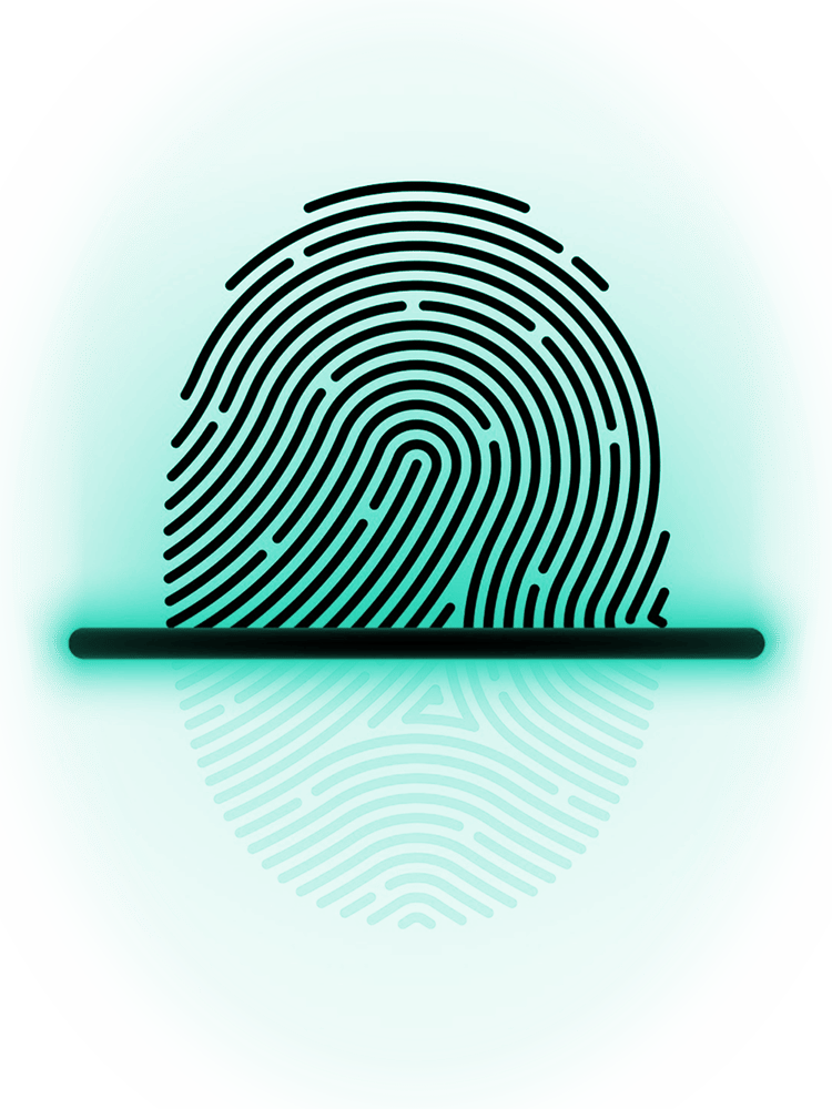 Hardware fingerprint